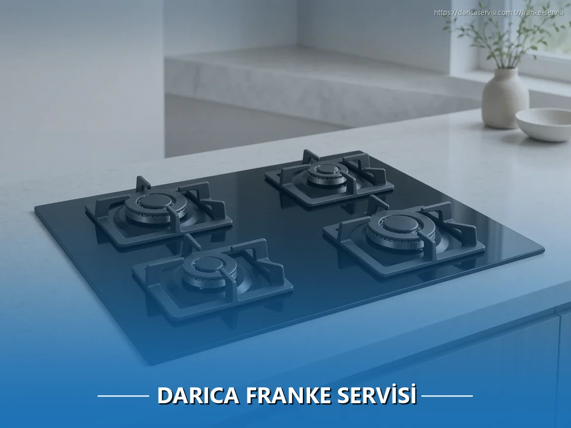 Darıca Franke Servisi